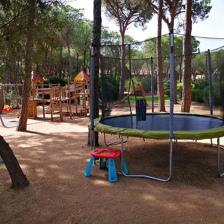 Graziosa Sul Mare